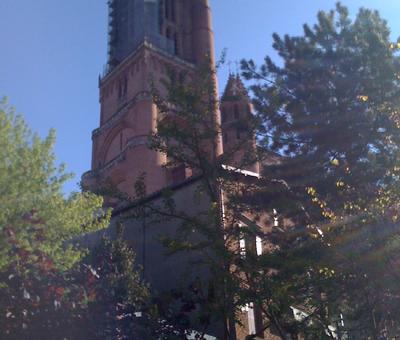 Cathédrale Ste Cécile d'Albi
