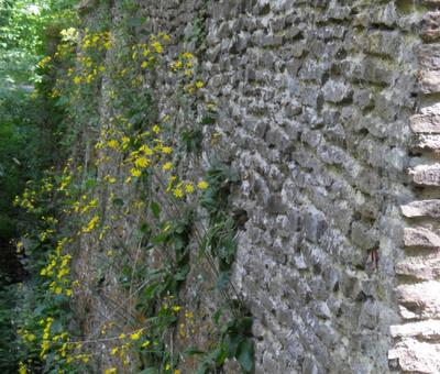 Château de l'Hermitage > Condé-sur-l'Escaut