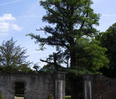 Château de l'Hermitage > Condé-sur-l'Escaut