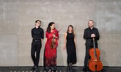 Harmonia Sacra - Credit Samuel Dhote - 01148641